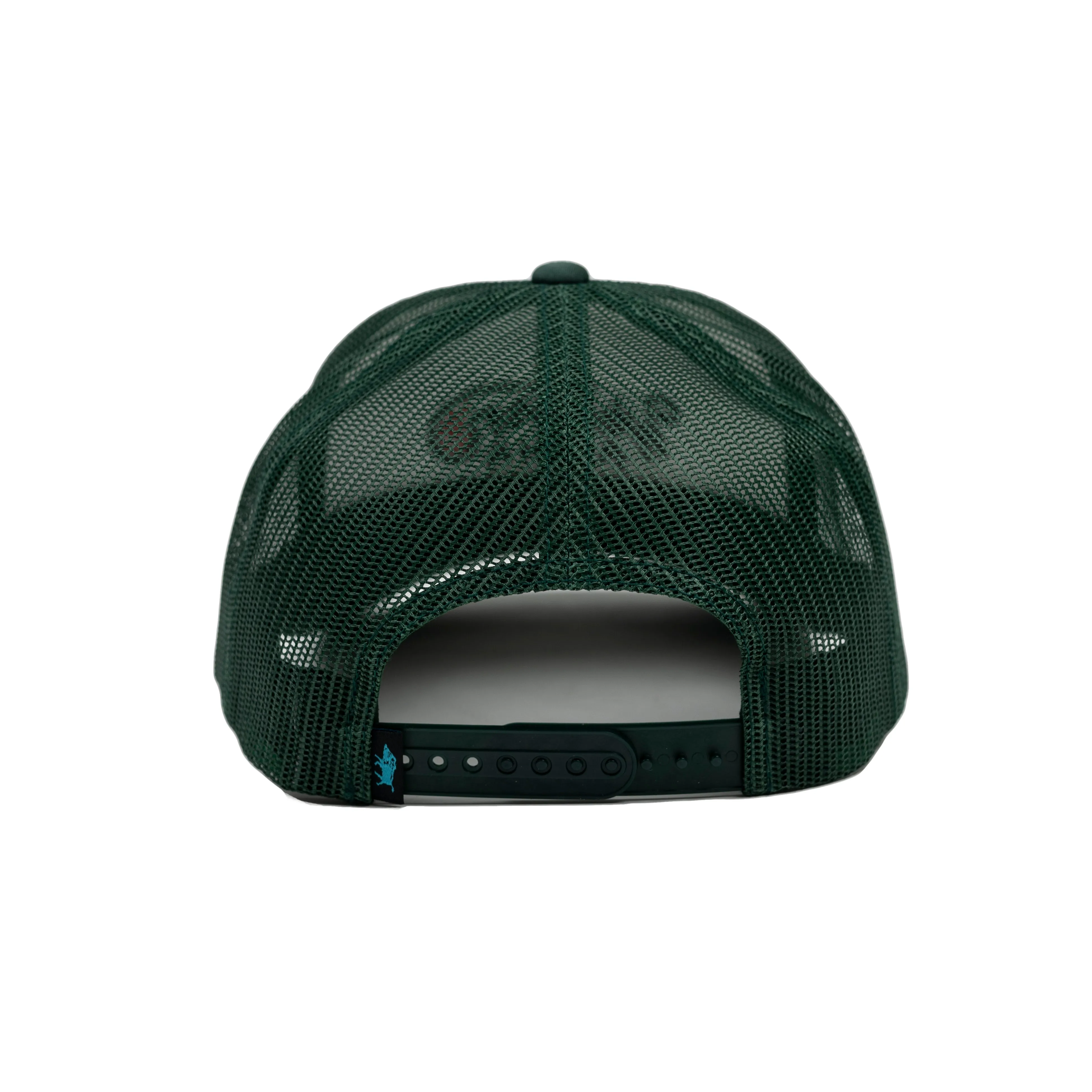 Embroidered Sunrise Snapback Green White